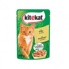 Kitekat &phi;&alpha;&kappa;&epsilon;&lambda;ά&kappa;&iota; &gamma;&alpha;&tau;&omicron;&tau;&rho;&omicron;&phi;ή &mu;&epsilon; &kappa;&omicron;&tau;ό&pi;&omicron;&upsilon;&lambda;&omicron; &kappa;&alpha;&iota; &sigma;ά&lambda;&tau;&sigma;&alpha; 100gr